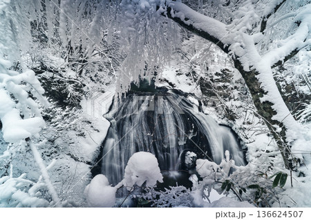 静寂に包まれた冬の滝と霧氷 山形県 関山大滝の雪景色 静寂に包まれた冬の滝と霧氷 山形県 関山大滝の雪景色 136624507