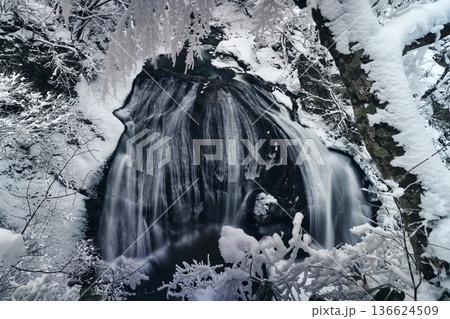 静寂に包まれた冬の滝と霧氷 山形県 関山大滝の雪景色 静寂に包まれた冬の滝と霧氷 山形県 関山大滝の雪景色 136624509