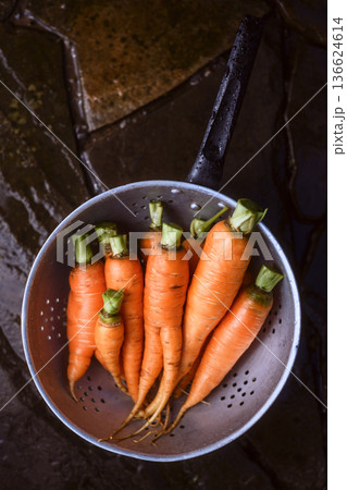 Freshly washed carrots with greens in metal colander 136624614
