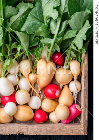 Multicolor radish bunches in wooden crate with...の写真素材 [136624661] - PIXTA