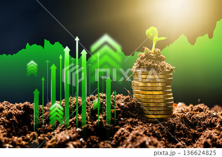 Growth of investment and finance through planting seeds in soil with coins Growth of investment and finance through planting seeds in soil with coins 136624825