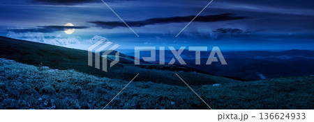 mountainous panorama of rolling hills at night. wonderful weather with cloudscape over the distant mountain range in full moon light. mysterious view of alpine landscape during summer mountainous panorama of rolling hills at night. wonderful weather with cloudscape over the distant mountain range in full moon light. mysterious view of alpine landscape during summer 136624933