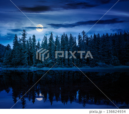 lake in summer mountain landscape at night. fresh body of water surrounded by coniferous forest in full moon light. spectacular scenery of alpine destination for photo tourism. mysterious fantasy lake in summer mountain landscape at night. fresh body of water surrounded by coniferous forest in full moon light. spectacular scenery of alpine destination for photo tourism. mysterious fantasy 136624934