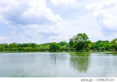 緑に囲まれた池のある公園 136625114