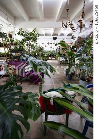 A lush indoor space is filled with a variety of plants, creating a tranquil and inviting atmosphere A lush indoor space is filled with a variety of plants, creating a tranquil and inviting atmosphere 136625469