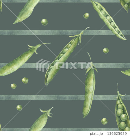 Seamless pattern with green peas pods and seeds on the horizontal lines background. Hand-drawn watercolor illustration isolated on dark green background. Ideal for packaging, wrapping paper, textile 136625929