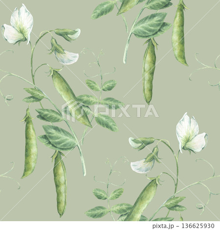 Vintage seamless pattern with sprouts, twigs, leaves, flowers and green pea pods. Hand-drawn watercolor illustration isolated on light green background. Perfect for packaging, wrapping paper, textile 136625930
