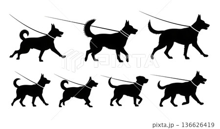Black Solid Leash Walking Dogs Silhouettes Set of Six on White Background Black Solid Leash Walking Dogs Silhouettes Set of Six on White Background 136626419