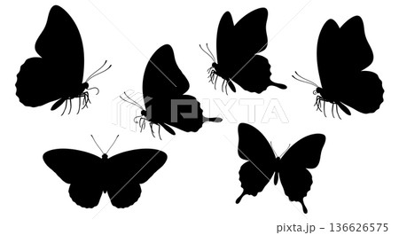 Black Solid Palpi Form Butterfly Silhouettes Set of Six on White Background Black Solid Palpi Form Butterfly Silhouettes Set of Six on White Background 136626575