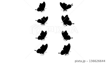 Black Solid Rapid Descent Butterfly Silhouettes Set of Six on White Background Black Solid Rapid Descent Butterfly Silhouettes Set of Six on White Background 136626644
