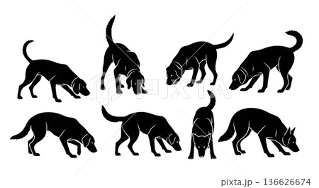 Black Solid Scent Tracking Dogs Silhouettes Set of Six on White Background Black Solid Scent Tracking Dogs Silhouettes Set of Six on White Background 136626674