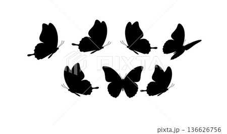 Black Solid Synchronized Flight Butterfly Silhouettes Set of Six on White Background Black Solid Synchronized Flight Butterfly Silhouettes Set of Six on White Background 136626756