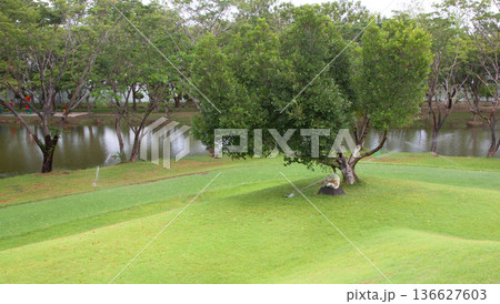 green park lawn green park lawn 136627603