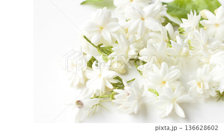 Jasmine flowers fresh 136628602