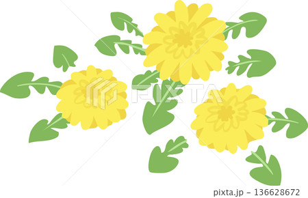 たんぽぽのベクターイラスト　春の野花のシンプルなフラワー素材 136628672