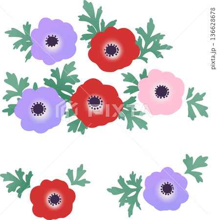 アネモネのベクターイラスト 春の花のシンプルなフラワー素材 アネモネのベクターイラスト 春の花のシンプルなフラワー素材 136628678