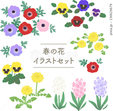 春の花のベクターイラストセット　パンジー・アネモネ・ヒヤシンス・たんぽぽの素材集 136628679