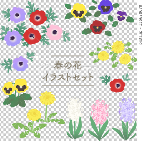 春の花のベクターイラストセット　パンジー・アネモネ・ヒヤシンス・たんぽぽの素材集 136628679