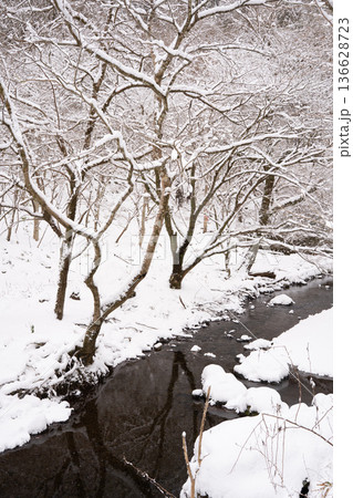 積雪の日の貴船川 積雪の日の貴船川 136628723