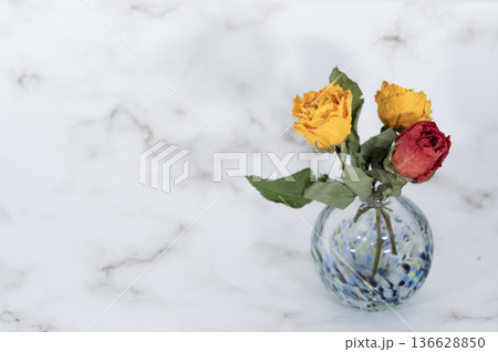 ガラスの寒色一輪挿しに挿した黄と赤のドライフラワーのバラ(右配置) 136628850