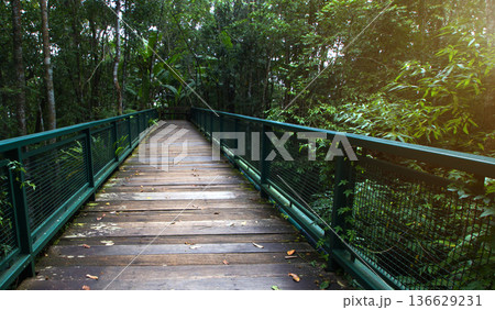 pedestrian bridge in the park 136629231