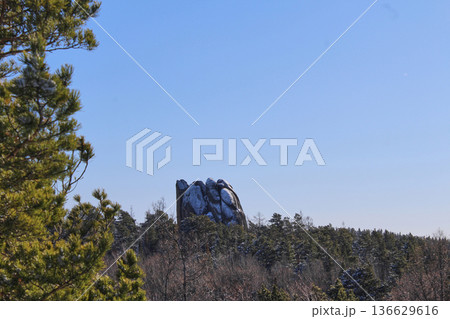 Russian Krasnoyarsk Stolby national park landscape with large snowy rock formation above winter forest against clear blue sky outdoor. Perya rock. Russian Krasnoyarsk Stolby national park landscape with large snowy rock formation above winter forest against clear blue sky outdoor. Perya rock. 136629616