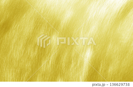 Gold metal brushed background Gold metal brushed background 136629738