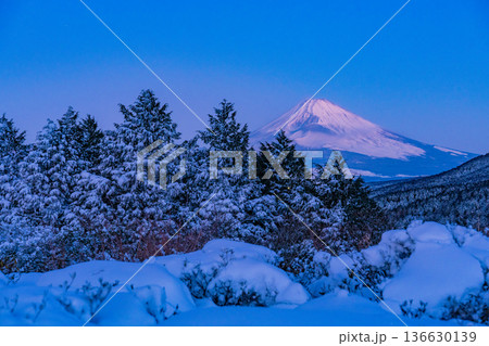 （静岡県）十国峠の雪景色　富士山眺望 136630139
