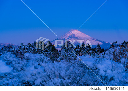 （静岡県）十国峠の雪景色　富士山眺望 136630141