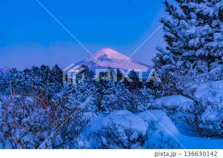 （静岡県）十国峠の雪景色　富士山眺望 136630142