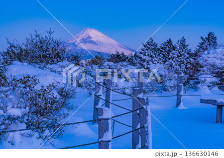 (静岡県)十国峠の雪景色 富士山眺望 (静岡県)十国峠の雪景色 富士山眺望 136630146
