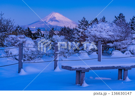(静岡県)十国峠の雪景色 富士山眺望 (静岡県)十国峠の雪景色 富士山眺望 136630147