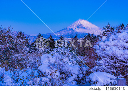 （静岡県）十国峠の雪景色　富士山眺望 136630148