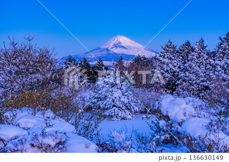 （静岡県）十国峠の雪景色　富士山眺望 136630149