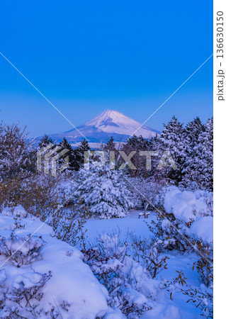（静岡県）十国峠の雪景色　富士山眺望 136630150