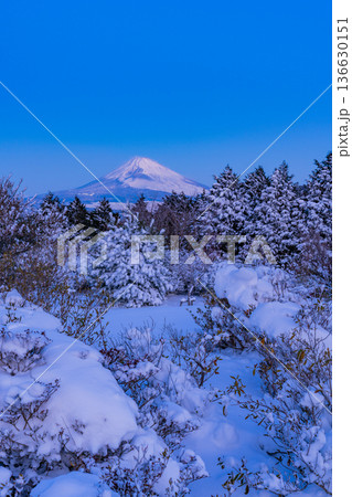 (静岡県)十国峠の雪景色 富士山眺望 (静岡県)十国峠の雪景色 富士山眺望 136630151
