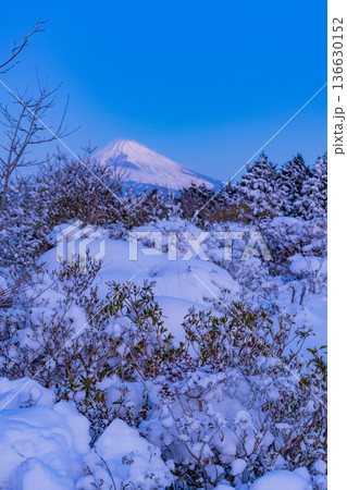 （静岡県）十国峠の雪景色　富士山眺望 136630152