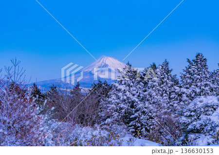 （静岡県）十国峠の雪景色　富士山眺望 136630153