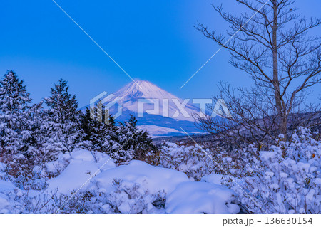 （静岡県）十国峠の雪景色　富士山眺望 136630154