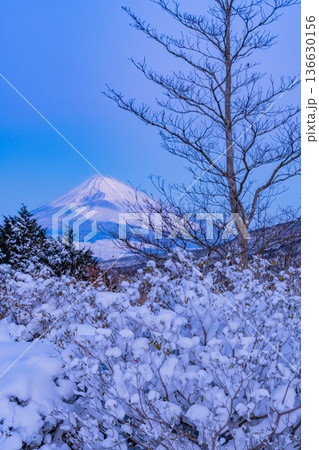 (静岡県)十国峠の雪景色 富士山眺望 (静岡県)十国峠の雪景色 富士山眺望 136630156