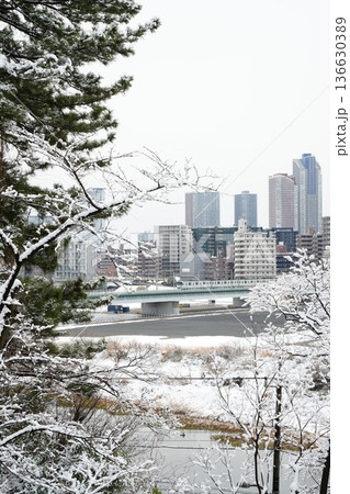 雪の日の武蔵小杉タワーマンション群｜東横線・目黒線と都市景観（川崎・多摩川） 136630389