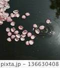 水面に浮かぶ桜の花びら 136630408