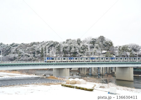 雪の多摩川河川敷と東急東横線・東急目黒線|丸子橋周辺の冬の都市リバーサイド風景 雪の多摩川河川敷と東急東横線・東急目黒線|丸子橋周辺の冬の都市リバーサイド風景 136630411