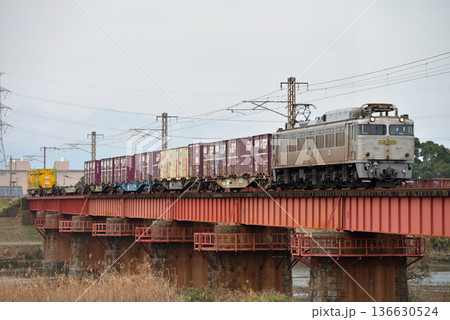 日豊本線を走るEF81303コンテナ貨物列車 日豊本線を走るEF81303コンテナ貨物列車 136630524