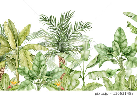 Watercolor jungle wallpaper illustration with tropical plants, palm, banana leaves and strelitzia. Decorative wall print for nursery, kids room, playroom, interior styling and nature themed spaces 136631488