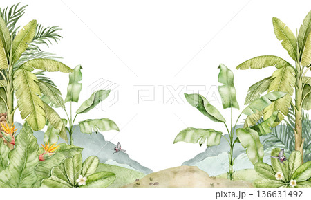 Watercolor jungle wallpaper illustration with tropical plants, palm leaves, Strelitzia and parrot. Decorative wall print for nursery interior, kids room decor, playroom design, nature themed spaces. Watercolor jungle wallpaper illustration with tropical plants, palm leaves, Strelitzia and parrot. Decorative wall print for nursery interior, kids room decor, playroom design, nature themed spaces. 136631492