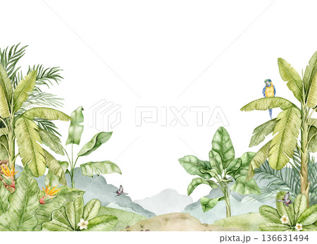 Watercolor jungle wallpaper with tropical plants, palm leaves, Strelitzia and macaw parrot. Decorative wall print for nursery interior, kids room decor, playroom design, nature themed spaces. 136631494