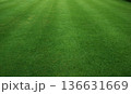 Green lawn pattern texture 136631669