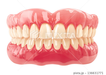 Dental prosthesis 3D vector realistic. 136631771