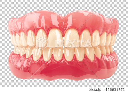 Dental prosthesis 3D vector realistic. 136631771